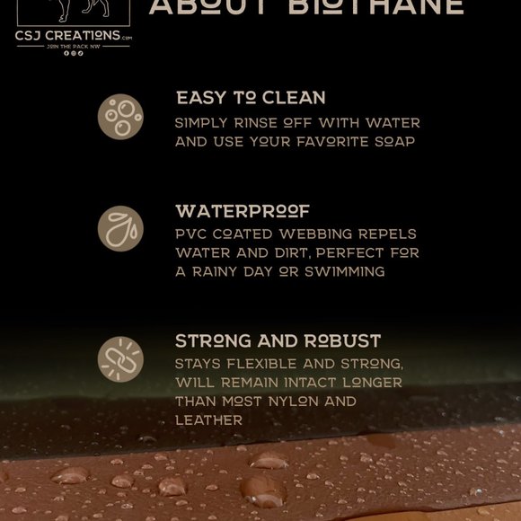 5' USA Made Biothane Dog Leash - 1/2" width waterproof, stink proof - Red/Brass - Picture 3 of 3